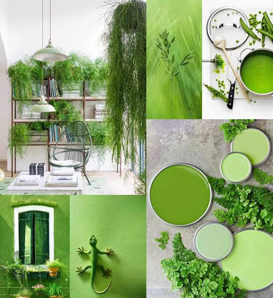 Il colore verde con vari esempi per un matrimonio