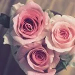 Un bouquet di rose fucsia.